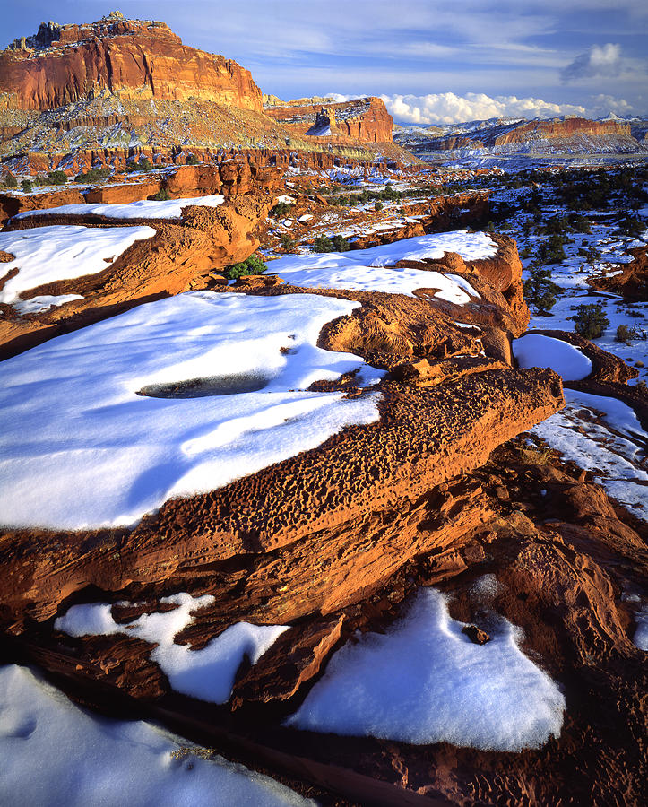 Reef in Snow Photograph by Ray Mathis