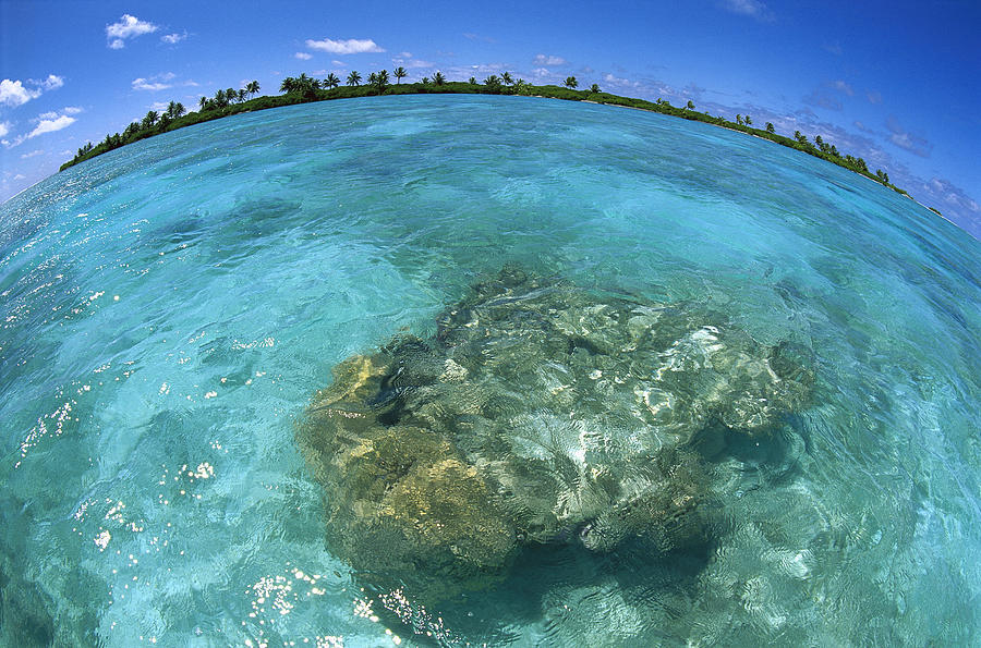 Reef Seascape Palmyra Atoll Photograph by Tui De Roy