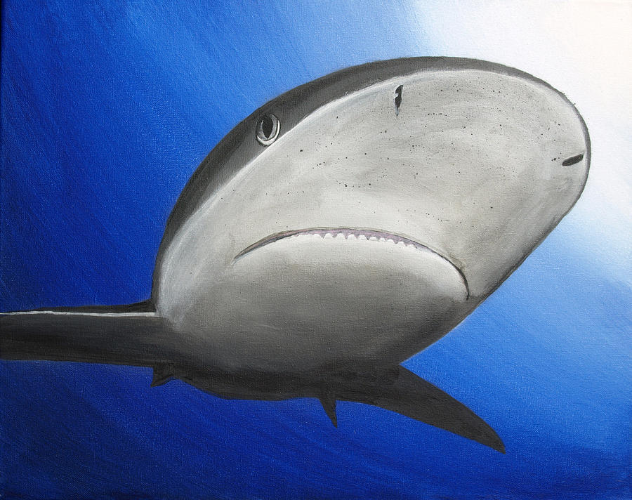 Reef Shark Painting - Reef Shark by Jojo