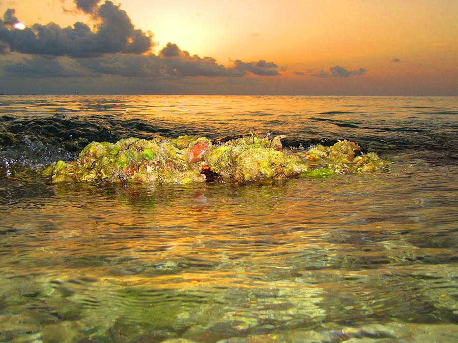 Sunset Photograph - Reef Tide by Capt  Pat Moran