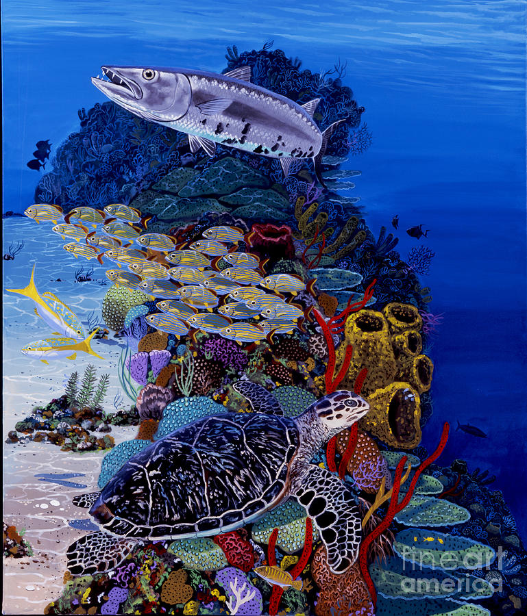 Turtle Painting - Reefs Edge Re0025 by Carey Chen