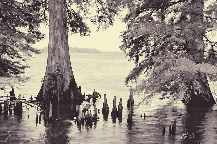 Reelfoot in Black and White Photograph by Bonnie Willis