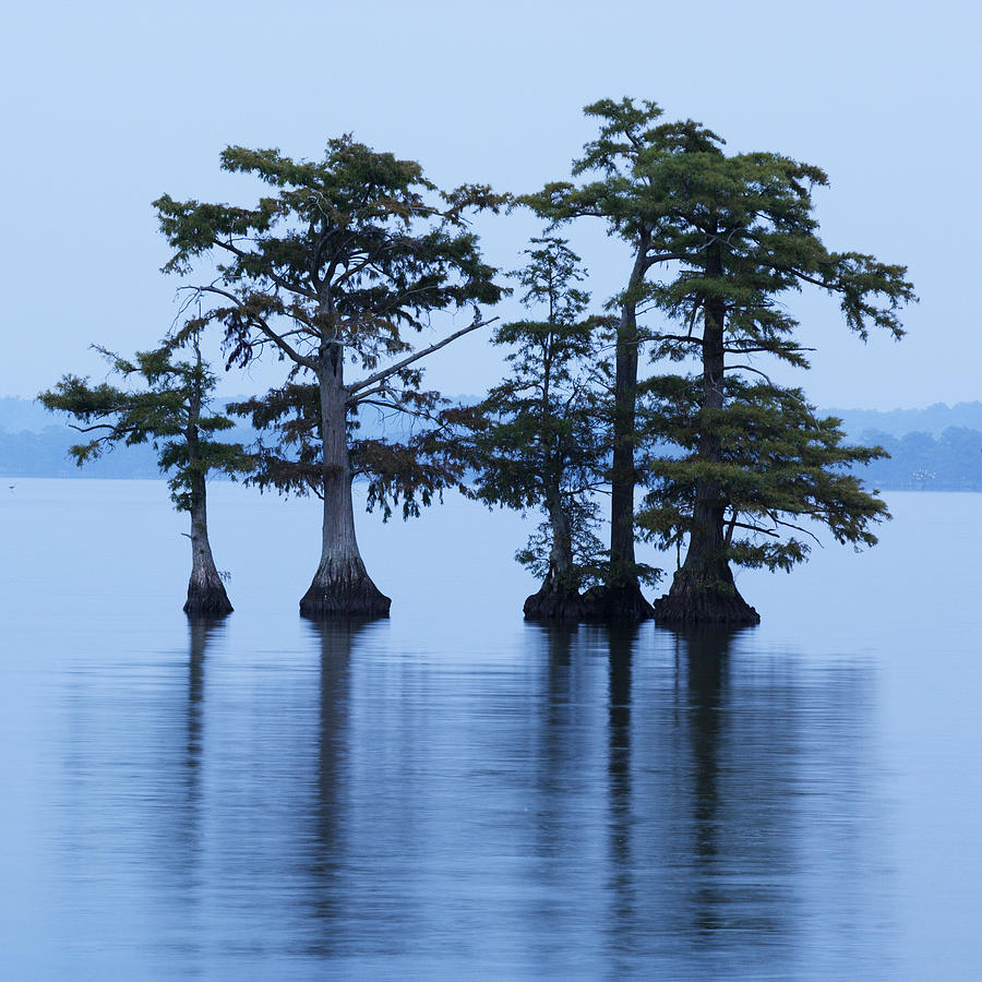Reelfoot Lake Photograph by Eric Foltz