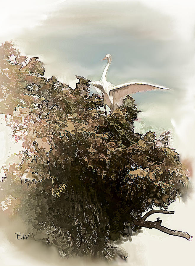 Crane Photograph - Reelfoot Lake White Crane by Bonnie Willis