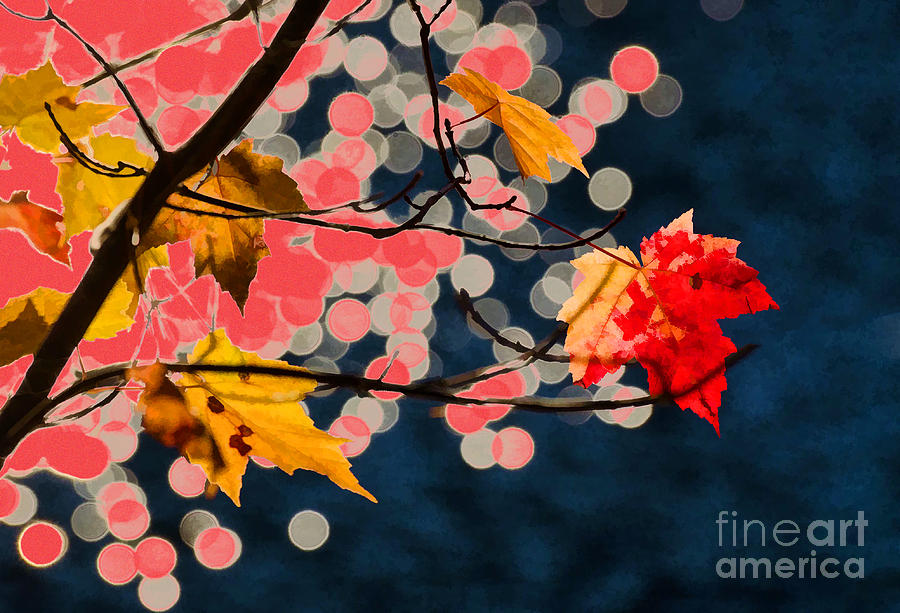 Red Maple Leaf #1 Photograph by Les Palenik