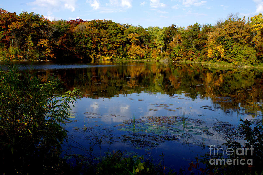 Refection Fall at Ritter Park Lakeville MN Photograph by Tina Hailey
