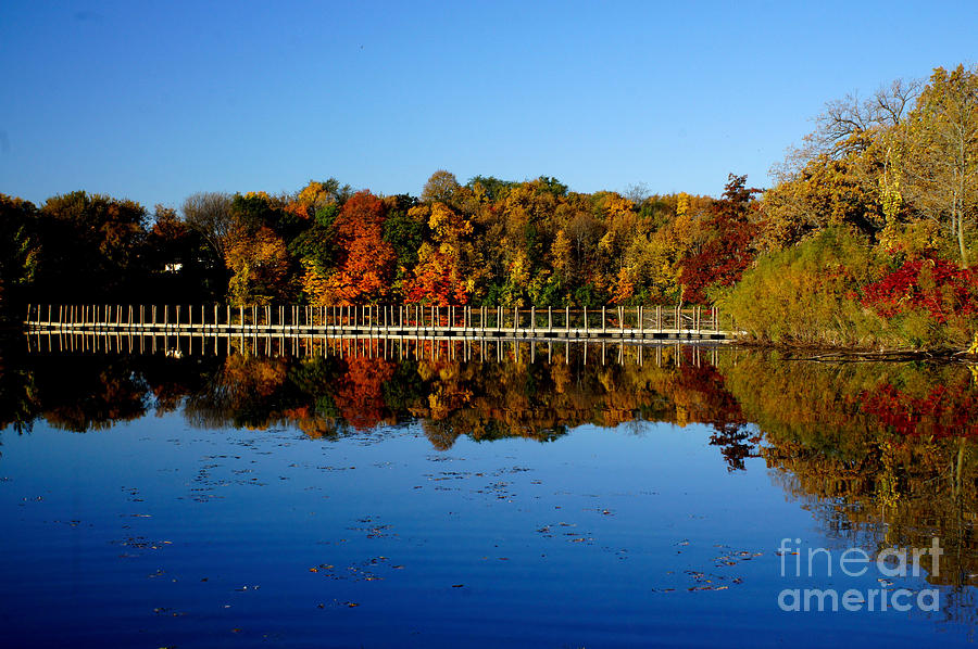 Refection Fall In Prior Lake Mn Photograph by Tina Hailey
