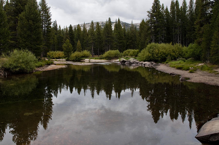 Reflect Photograph by Kim Upshaw - Fine Art America