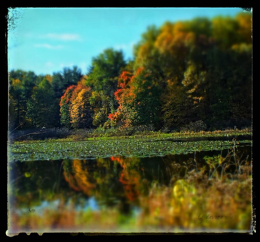 Reflect on fall Digital Art by Tg Devore