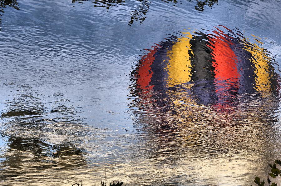 Reflected balloon Photograph by Mick Flynn