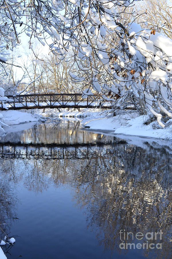 Reflected Bridge Photograph by Forest Floor Photography