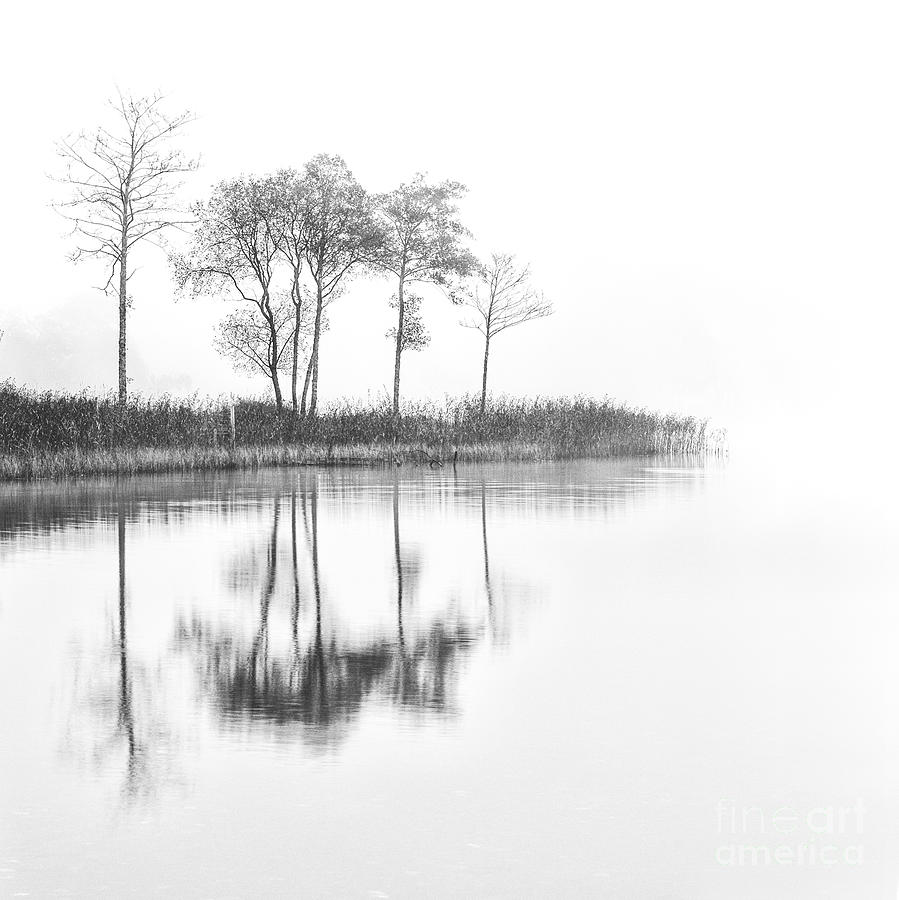 Tree Photograph - Reflected Calm by Richard Burdon