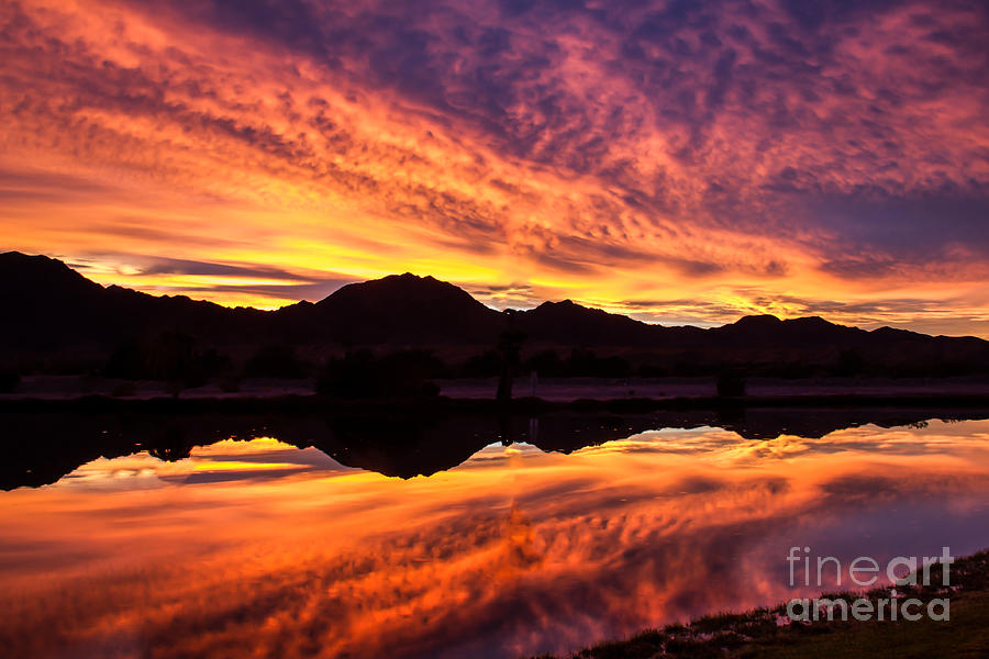 Reflected Sunrise Photograph by Robert Bales