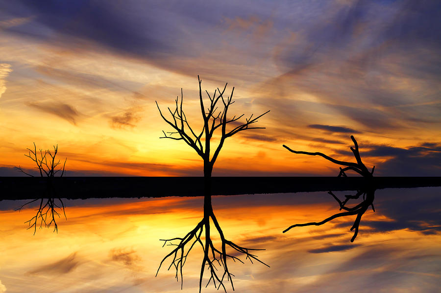 Reflected Sunset Photograph
