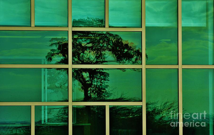 Reflected Tree Framed Photograph by Craig Wood