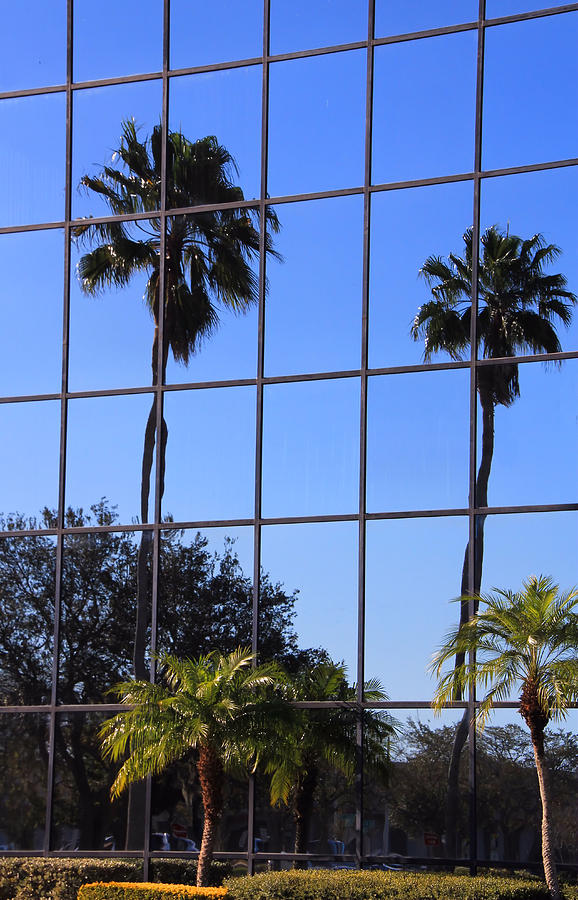Reflected Window Photograph by Rosalie Scanlon