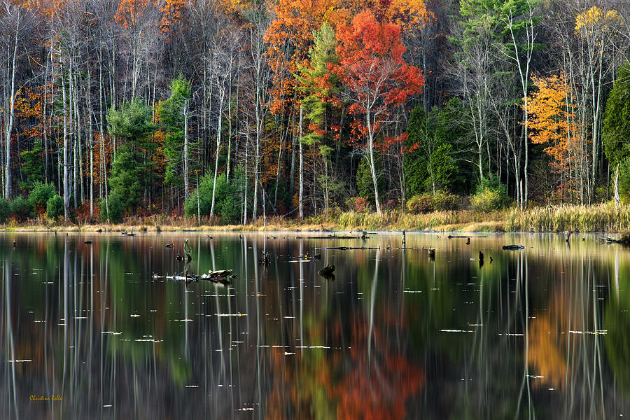Reflecting Autumn Photograph by Christina Rollo