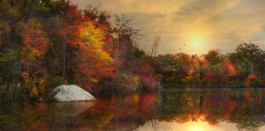 Reflecting Autumn Photograph by Robin-Lee Vieira