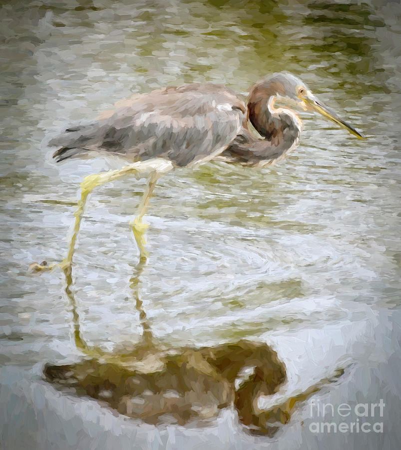 Reflecting Heron Photograph by Kerri Farley