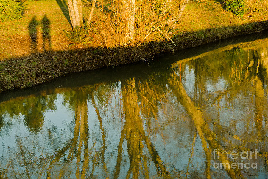 Tree Photograph - Reflecting by Nick Boren