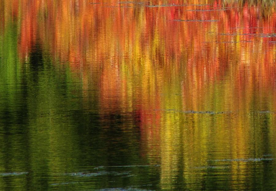 Reflecting on Autumn Photograph by Lori Frisch