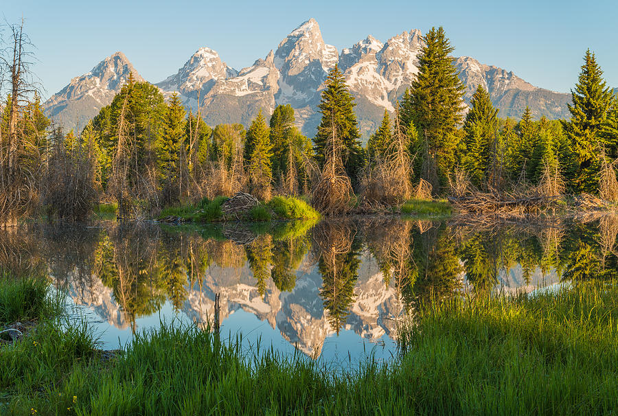 Grand Teton National Park Photograph - Reflecting on Everything by Kristopher Schoenleber
