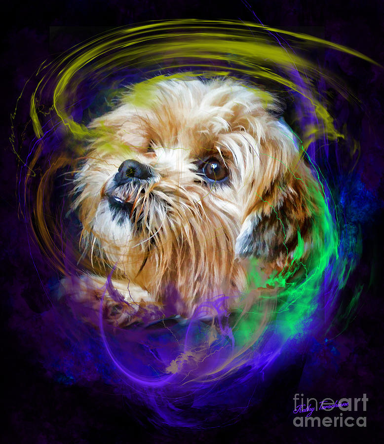 Dog Digital Art - Reflecting On My Life by Kathy Tarochione