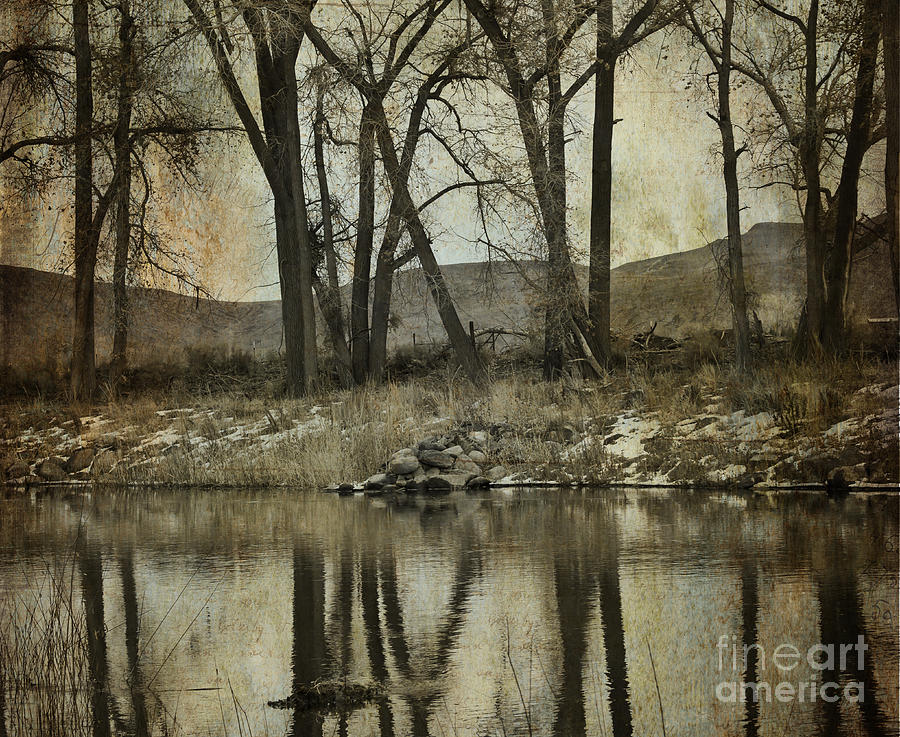 Reflections on the Carson River Photograph by Dianne Phelps