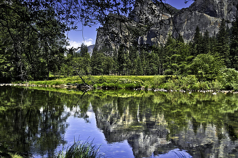 Reflecting on Yosemite Photograph by LeeAnn McLaneGoetz McLaneGoetzStudioLLCcom
