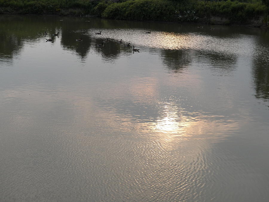 Reflecting Pond II Photograph by Corinne Elizabeth Cowherd