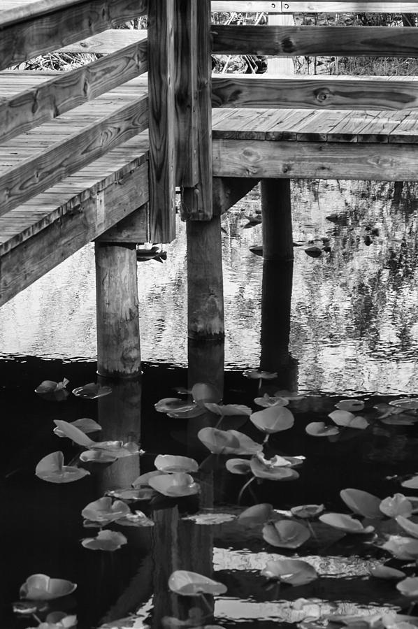 Reflecting The Dock Photograph by Carolyn Marshall