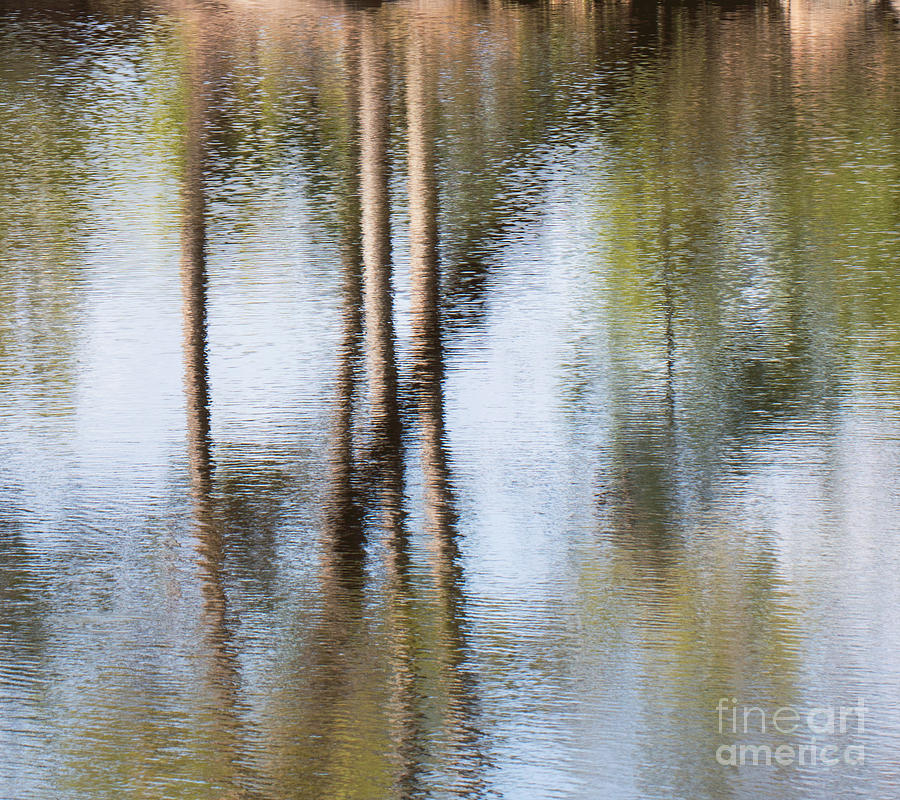 Reflection Abstract Photograph by Arlene Carmel