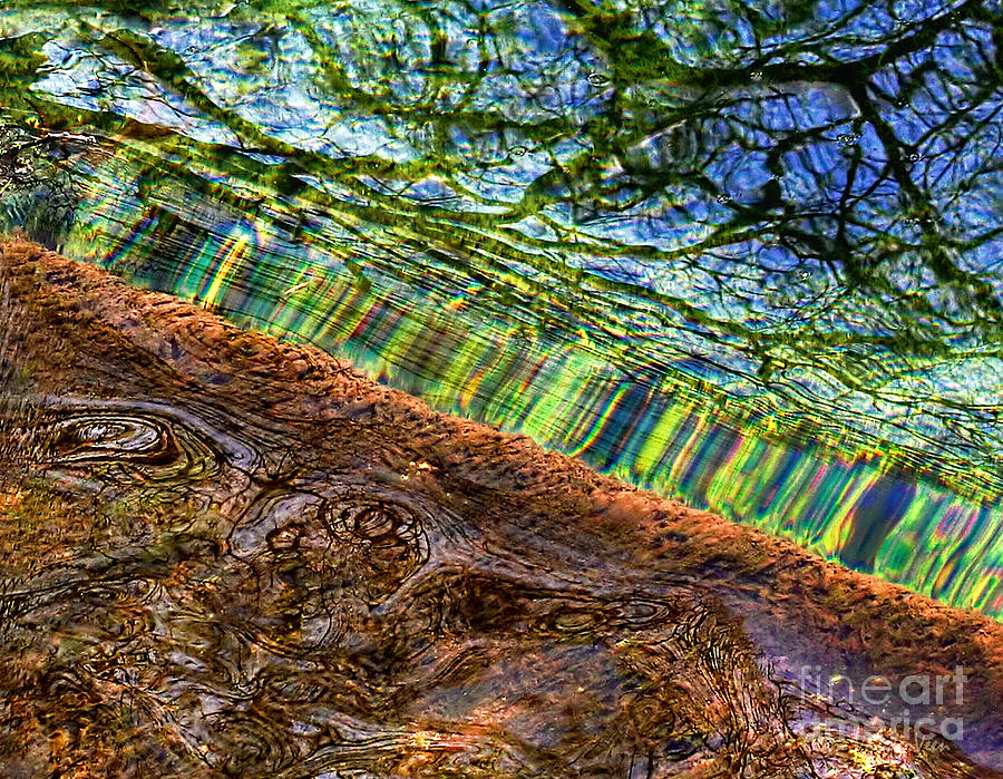 Reflection Abstract Photograph by Clare VanderVeen