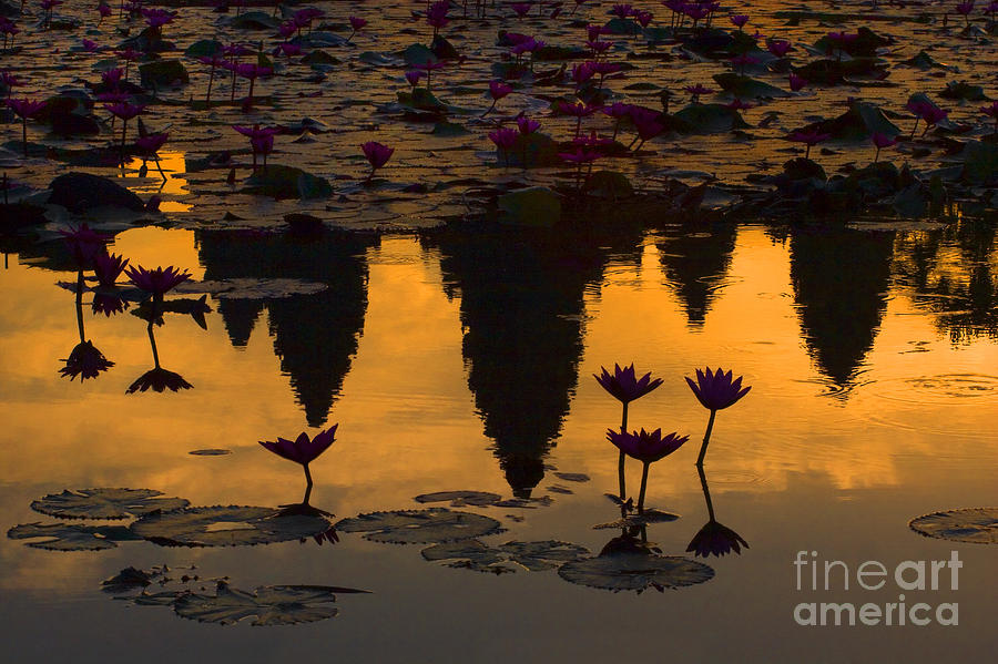 Reflection at Angkor Wat Photograph by Craig Lovell