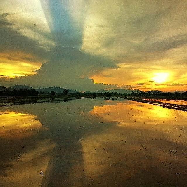 Besut Photograph - Reflection At Paddy Field by Abdul Muhaimin Farid
