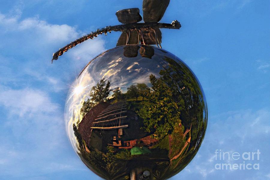 Reflection Ball-Dragon Flys Reflection Photograph by Peggy Franz