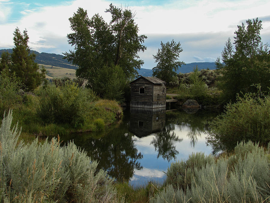 Cabin Reflection Photograph by Carl Moore