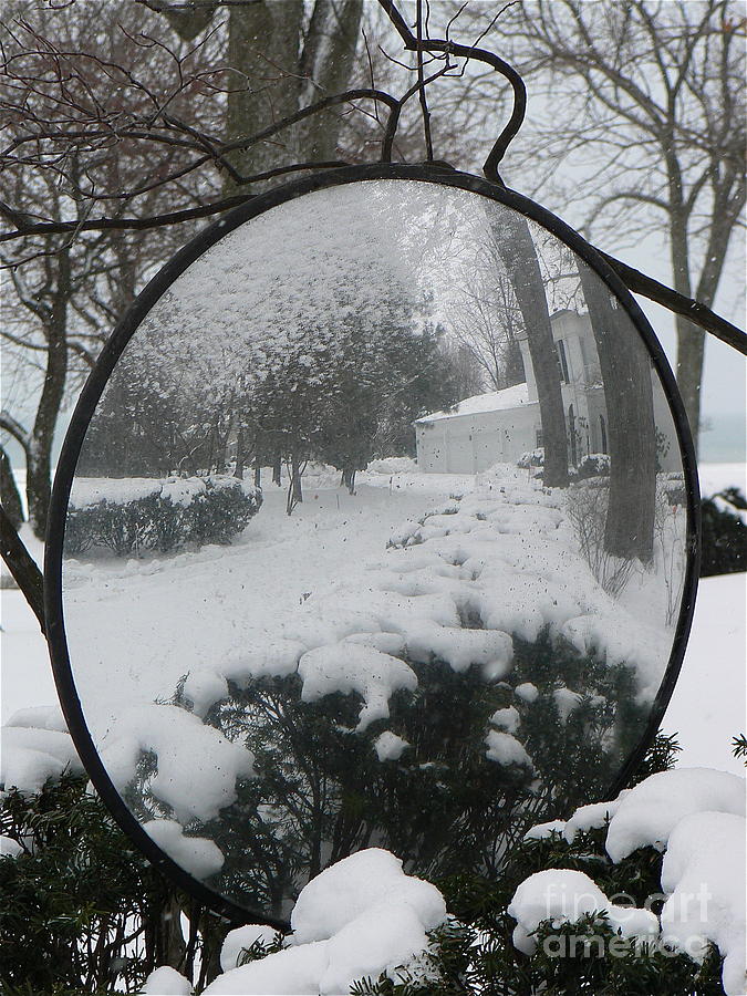 Winter Photograph - Reflection by Dona  Dugay