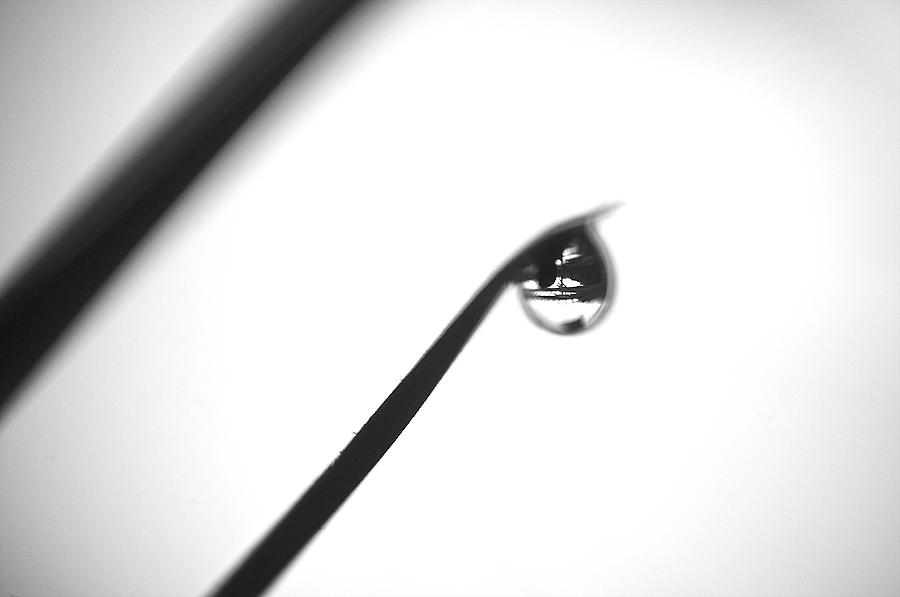 Reflection Drop Photograph by Arj Munoz