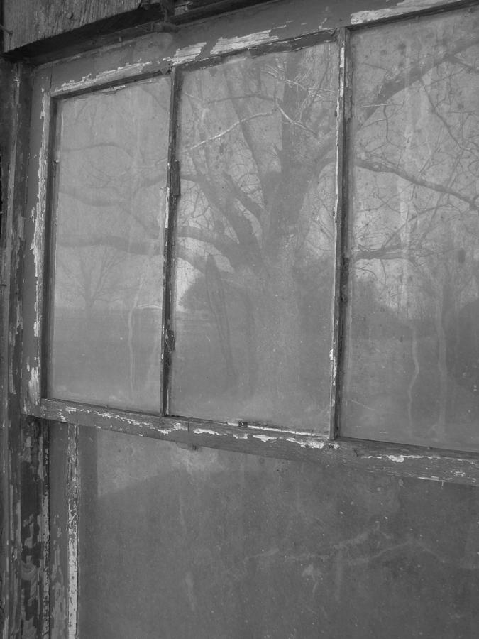 Reflection in a Window B/W Photograph by Beth Vincent