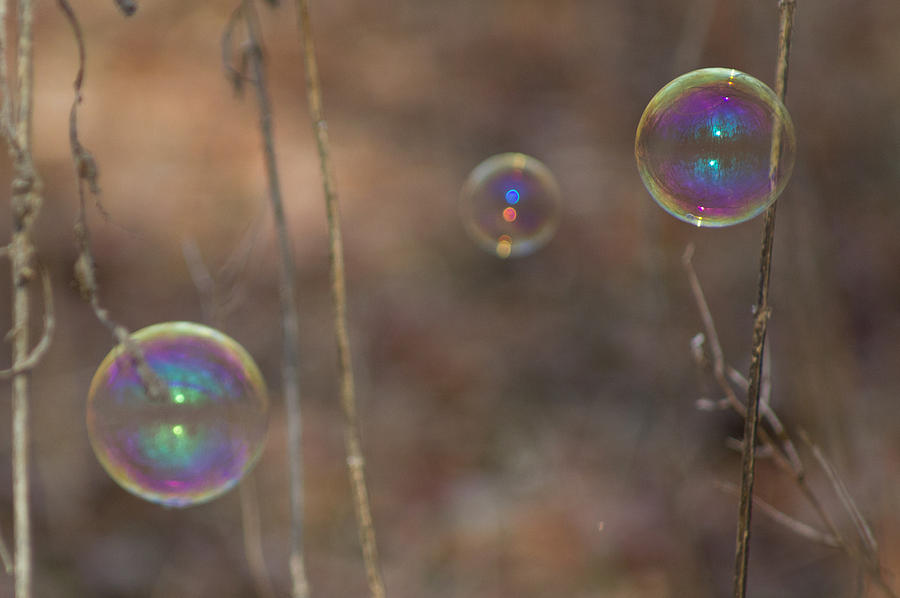 Reflection in Bubbles Photograph by Leah Palmer