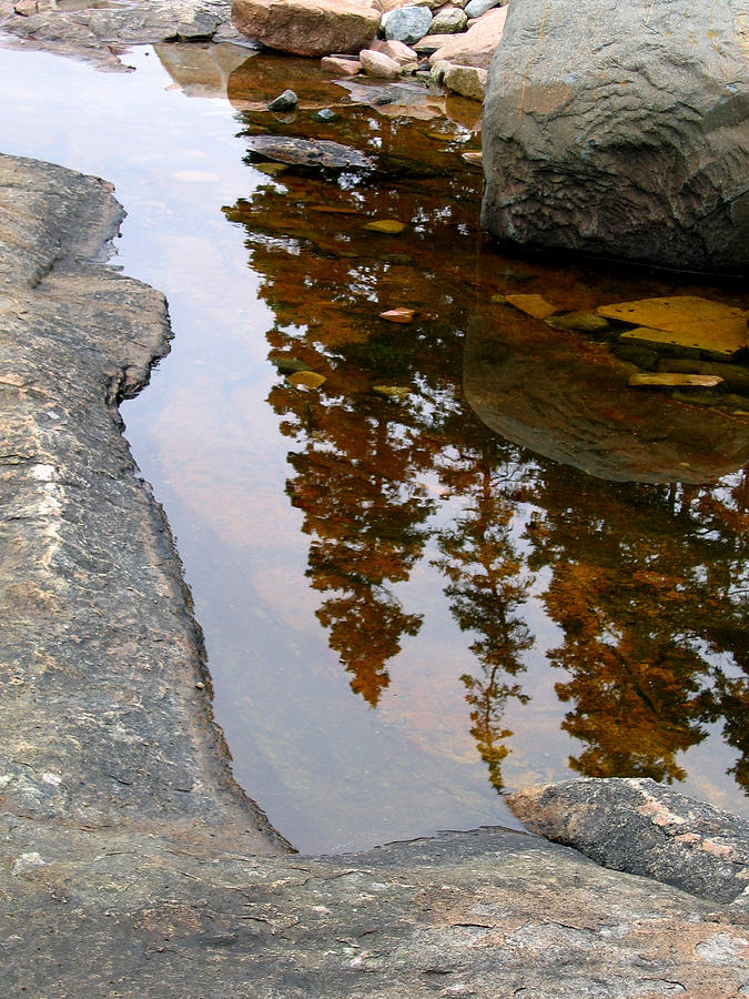 Reflection in Rock Pool Photograph by Tasha ONeill