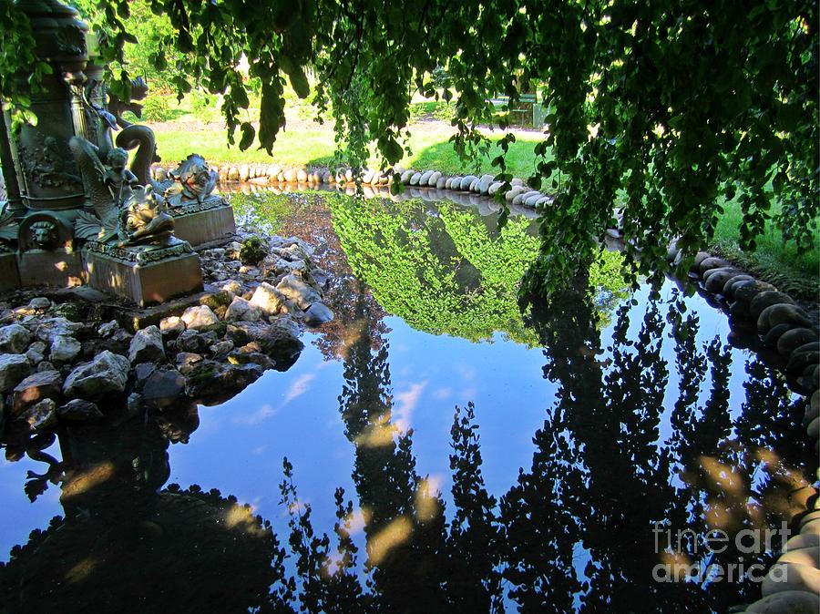 Landscaping Photograph - Reflection in the Pond by John Malone