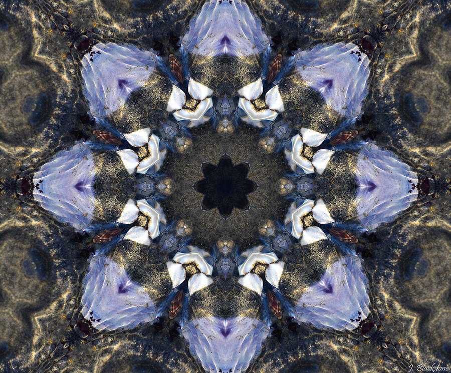 Reflection - Kaleidoscope Art Photograph by Jordan Blackstone