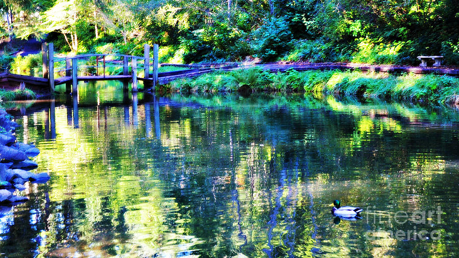 Reflection Monet Inspired Photograph by Mindy Bench