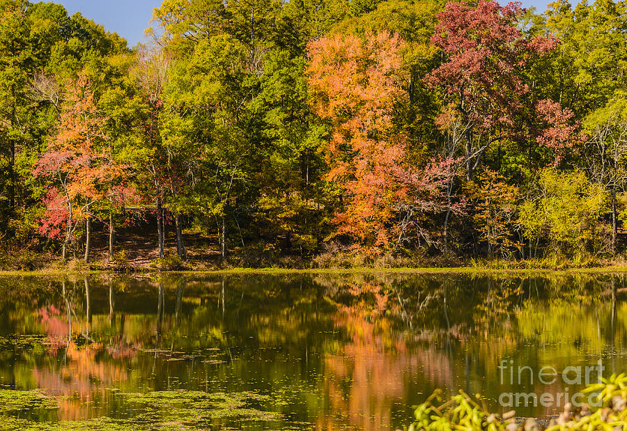 Reflection of Autumn Photograph by Elvis Vaughn