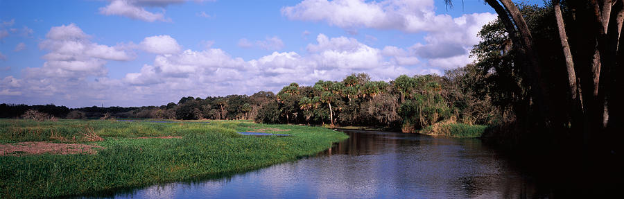 Landscape Photograph - Reflection Of Clouds In A River, Myakka by Panoramic Images