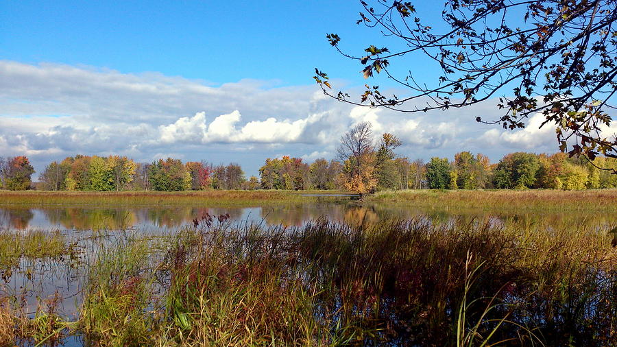 Reflection of Fall 2 Photograph by Debbie Levene