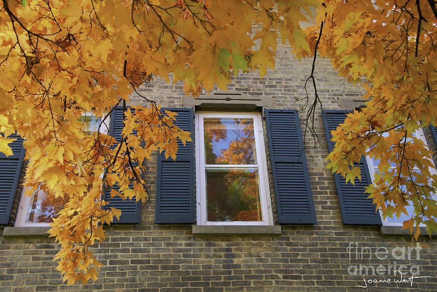 Reflection of Fall Photograph by Joanne West