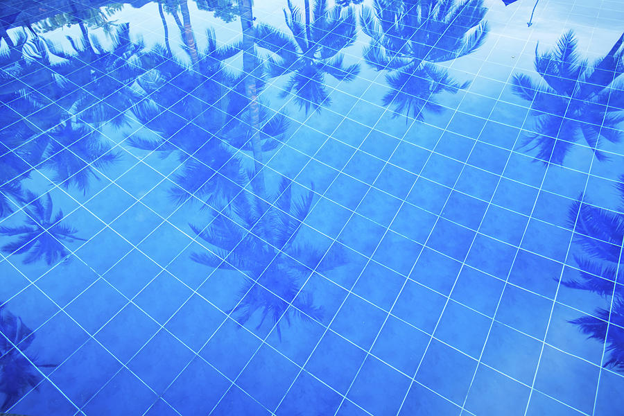 Reflection Of Palm Trees Over Swimming Photograph by Liunian